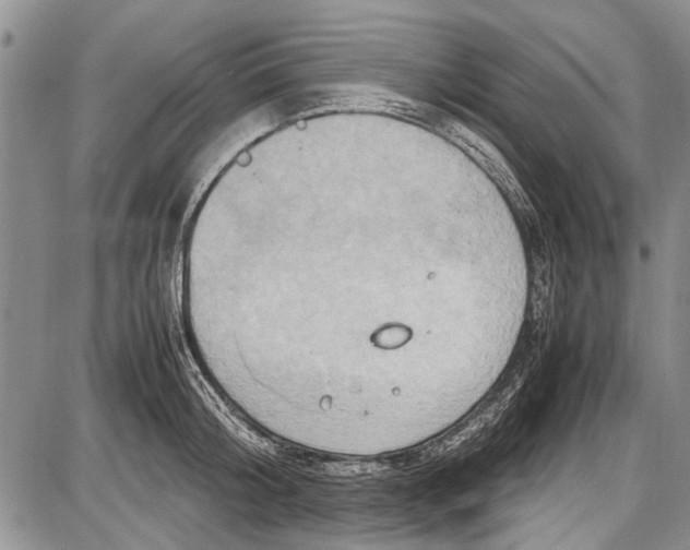 X0000087640804200705181524