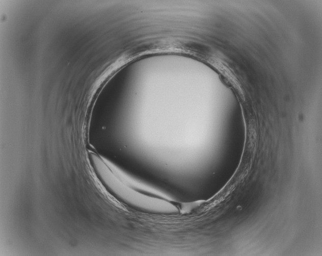 X0000087640805200705181524