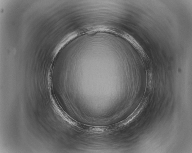 X0000087640806200705181524