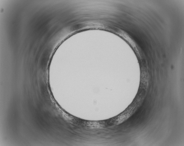 X0000087640807200705181524