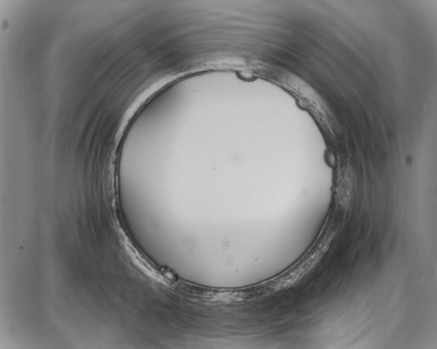 X0000087640808200705181524