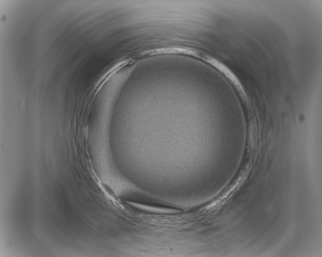 X0000087640809200705181524