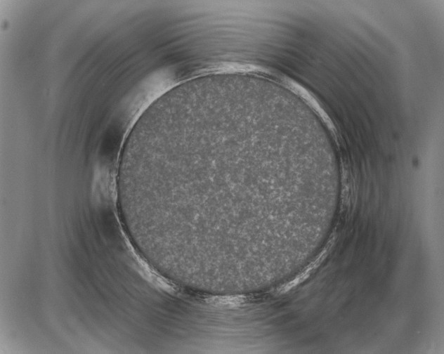 X0000087640810200705181524