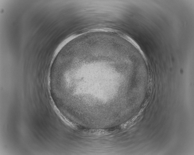 X0000087640811200705181524