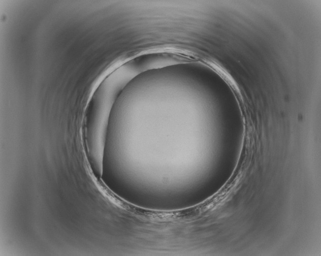 X0000087640813200705181524