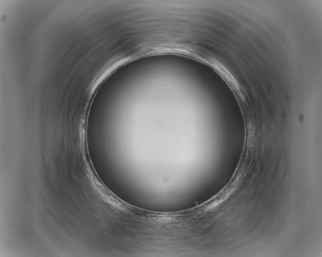 X0000087640814200705181524