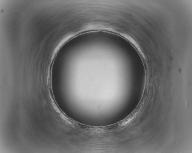 X0000087640815200705181524