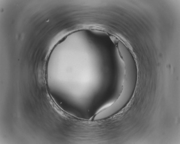 X0000087640816200705181524