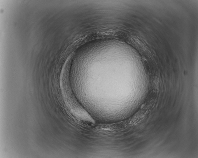 X0000087640817200705181523