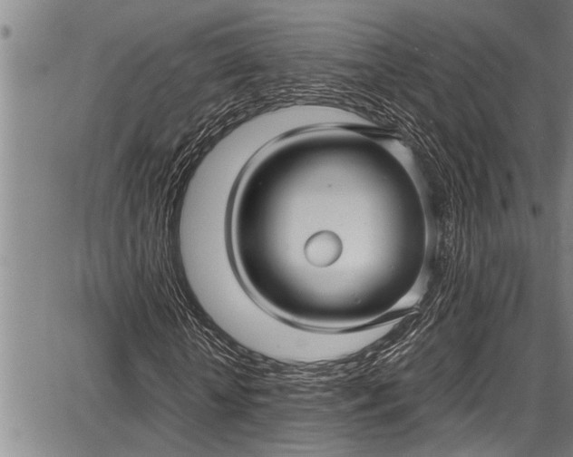 X0000087640818200705181523