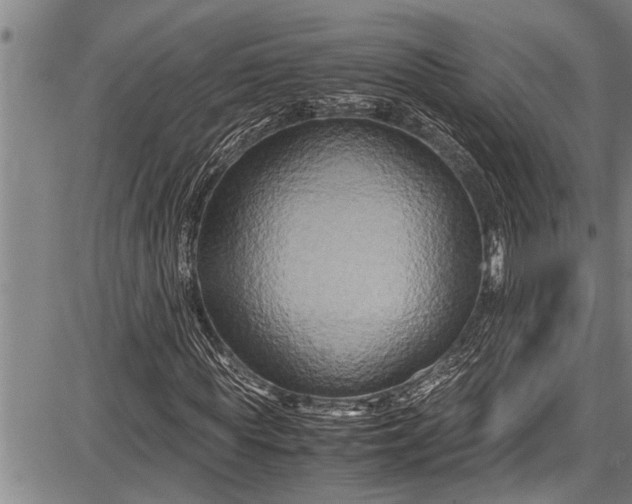 X0000087640819200705181523