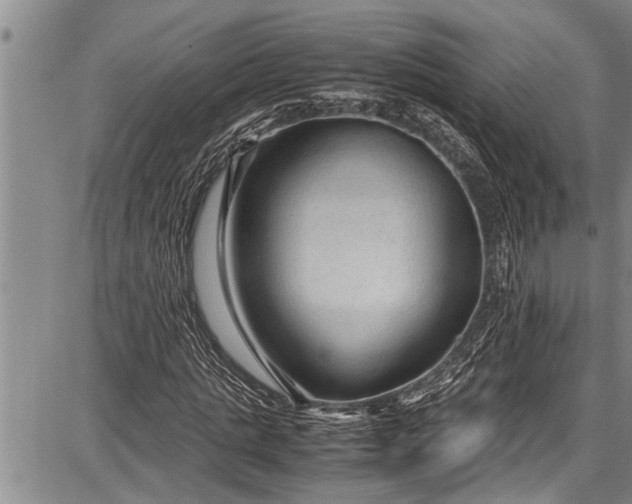 X0000087640821200705181523