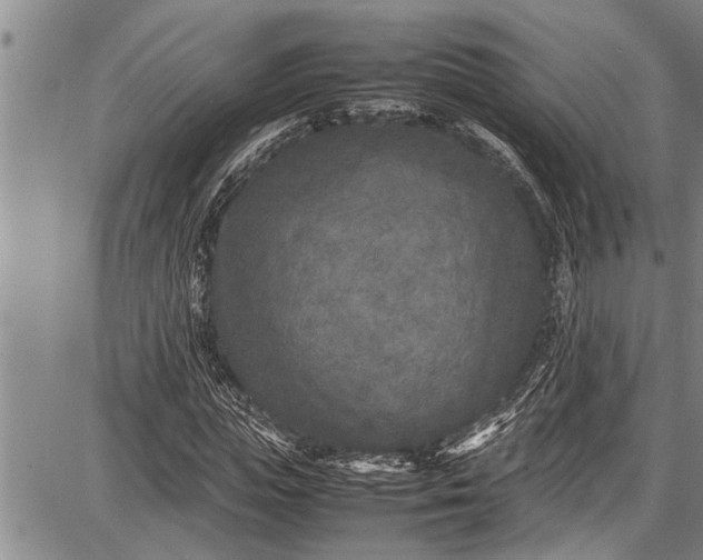 X0000087640823200705181523