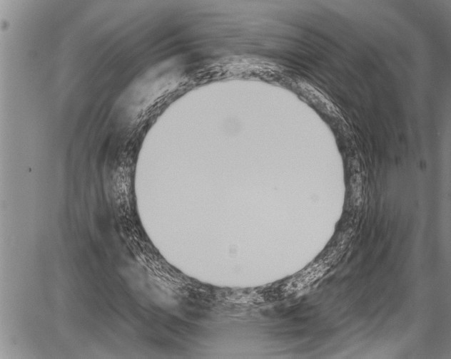 X0000087640824200705181523