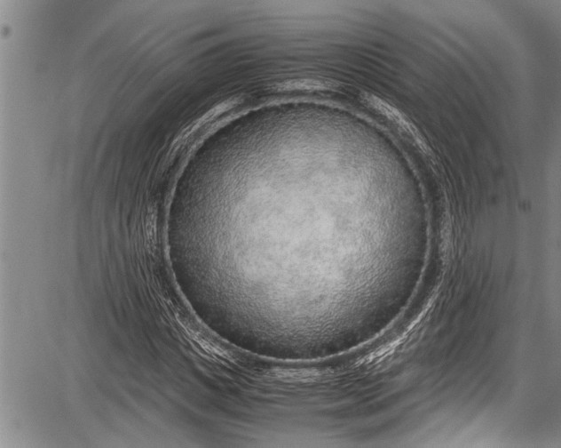 X0000087640825200705181523