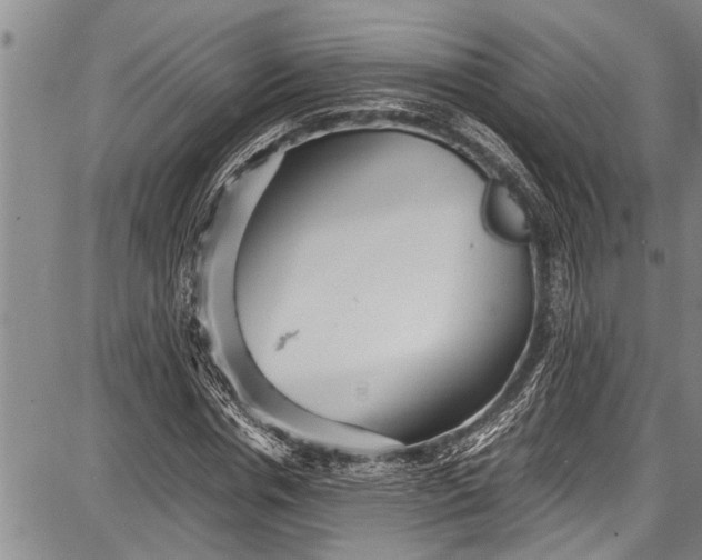 X0000087640826200705181523