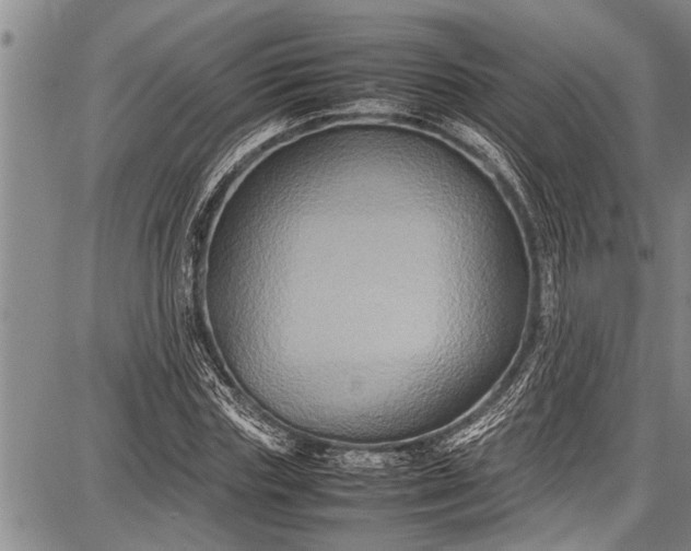 X0000087640827200705181523