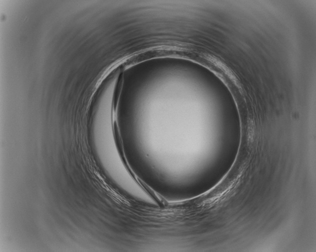 X0000087640829200705181523