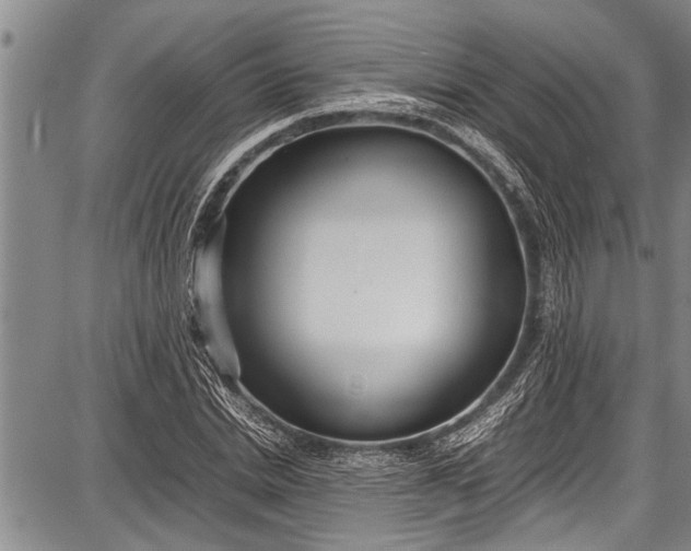 X0000087640830200705181523