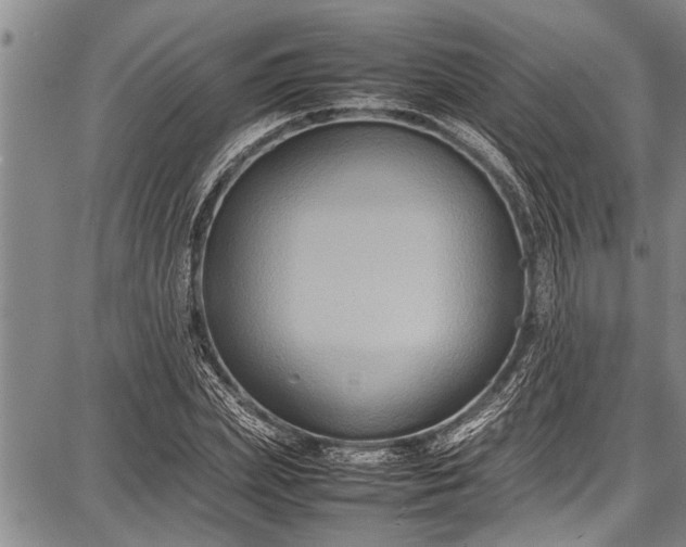 X0000087640831200705181523