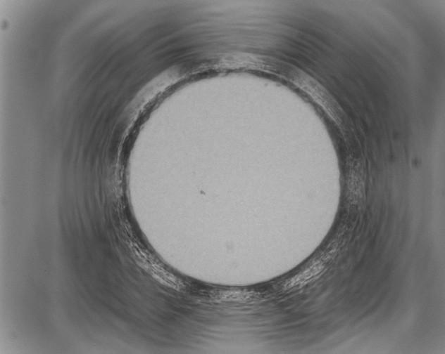 X0000087640832200705181523