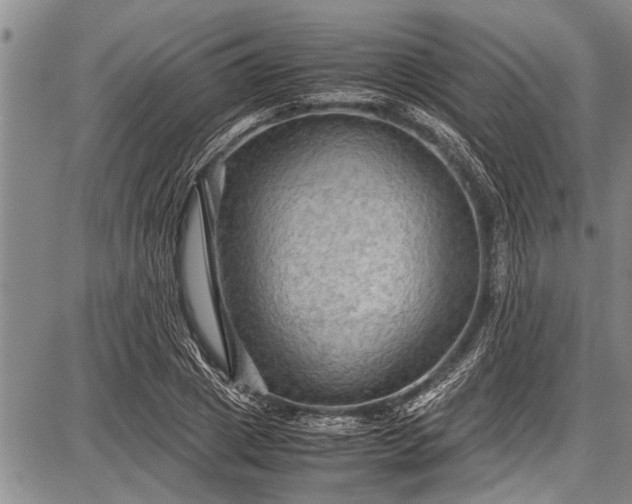 X0000087640833200705181523