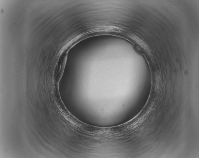 X0000087640834200705181523