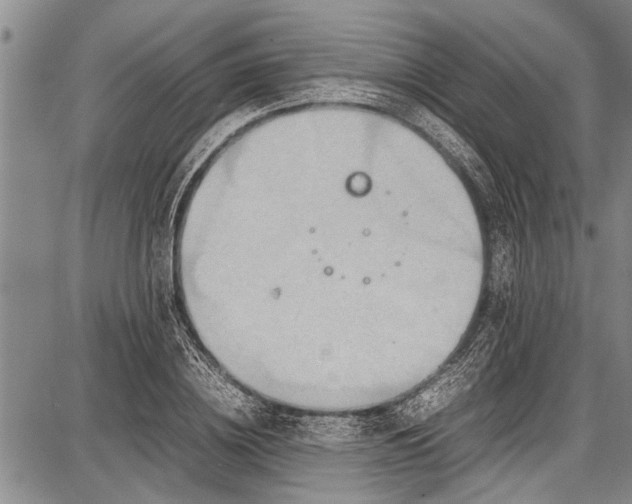 X0000087640836200705181523