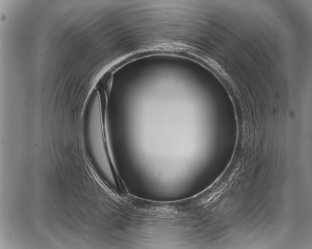 X0000087640838200705181523