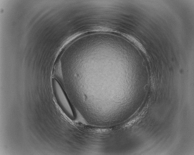 X0000087640839200705181523