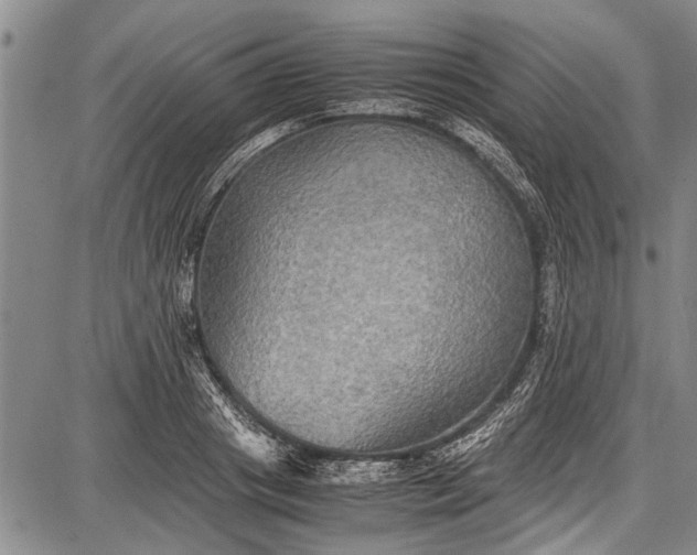 X0000087640841200705181523