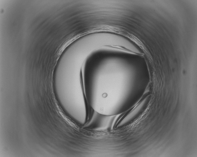 X0000087640842200705181523