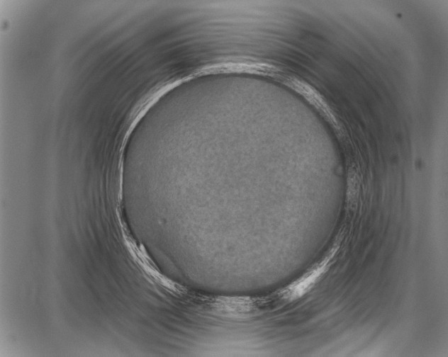 X0000087640844200705181523