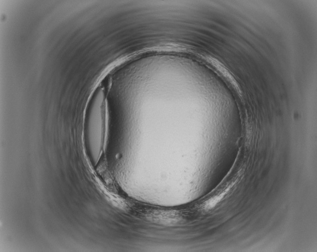 X0000087640845200705181523