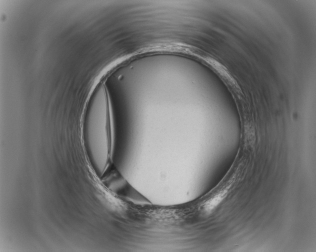 X0000087640846200705181523