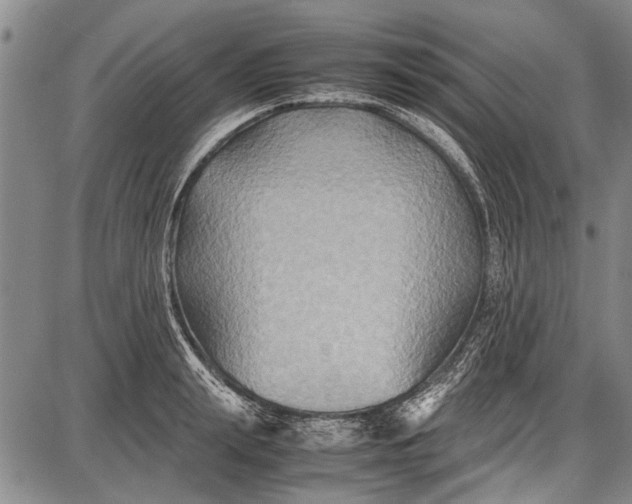 X0000087640847200705181523