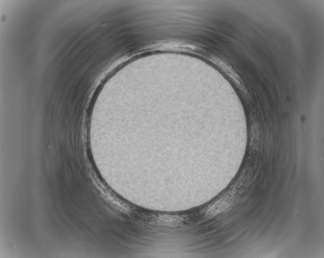 X0000087640848200705181523