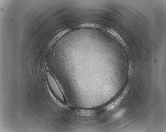 X0000087640849200705181523