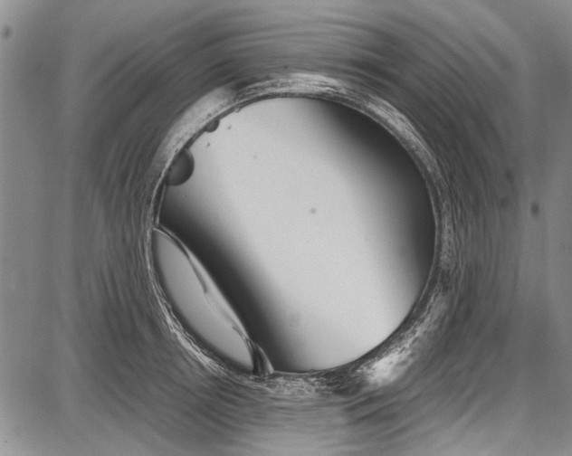 X0000087640850200705181523