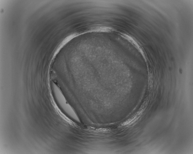 X0000087640851200705181523