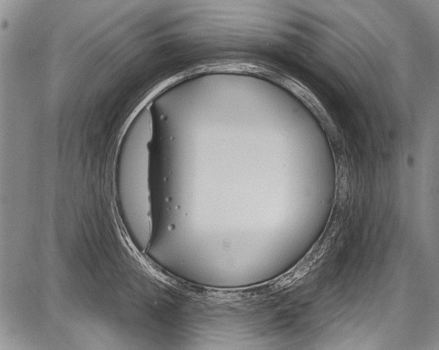 X0000087640852200705181523