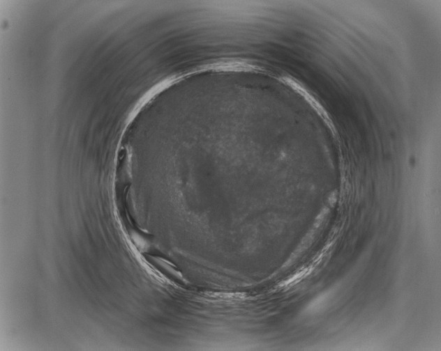 X0000087640853200705181524