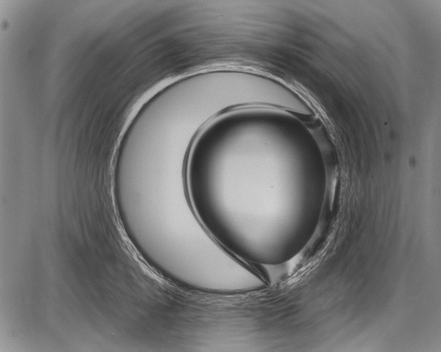 X0000087640854200705181524