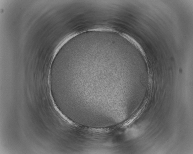 X0000087640855200705181524