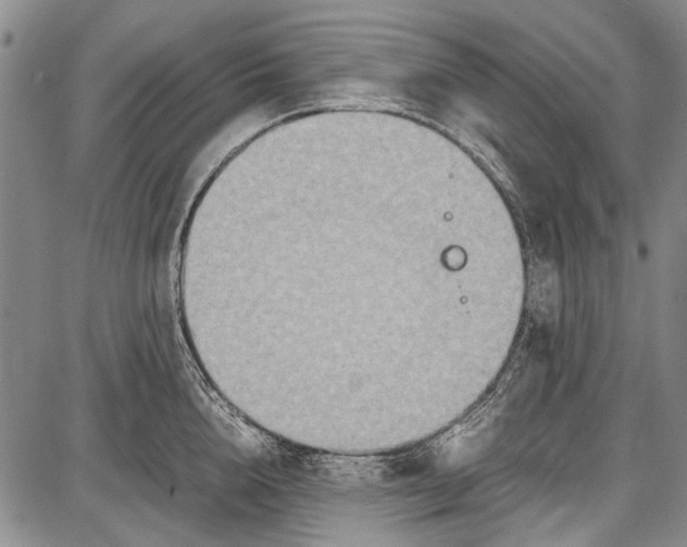 X0000087640856200705181524