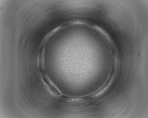 X0000087640857200705181524