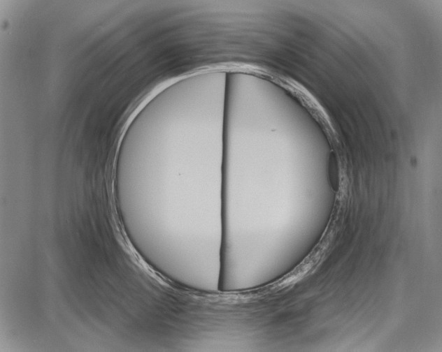 X0000087640860200705181524