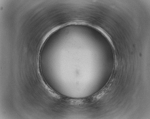 X0000087640861200705181524