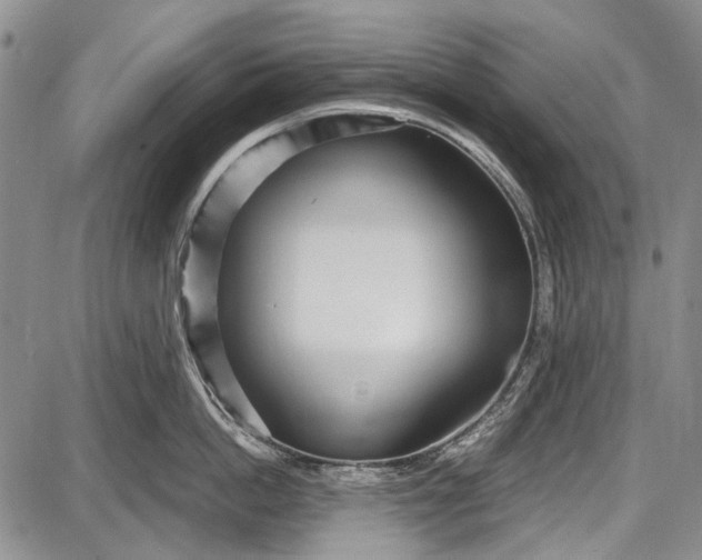 X0000087640862200705181524