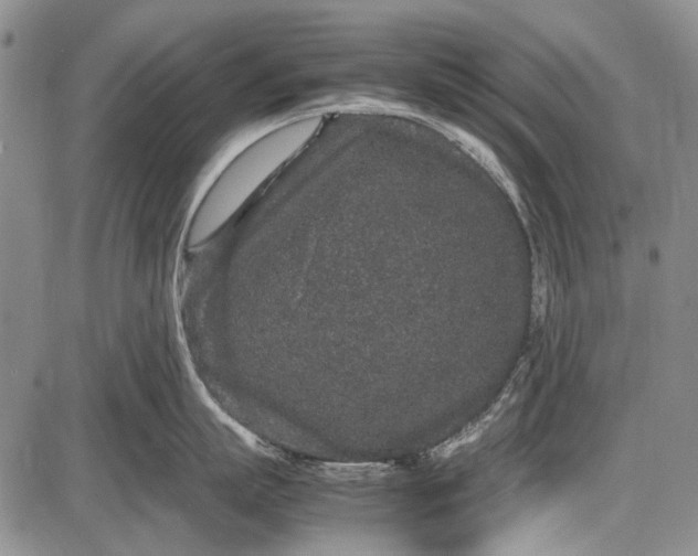 X0000087640863200705181524